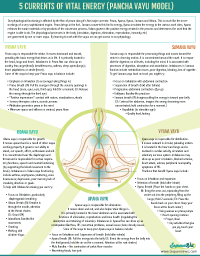 5 Vayus handout