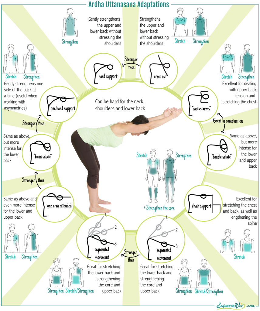 Ardha Uttanasana AdaptationsPDF