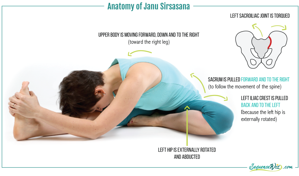 Janu Sirsasana Challenge