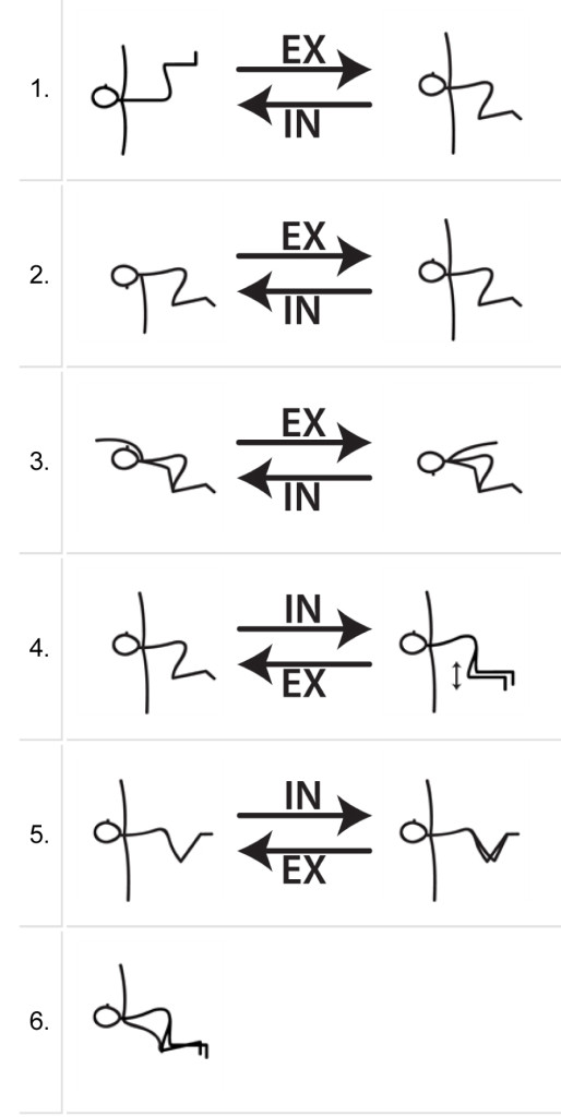 Jathara parivrtti Adaptations