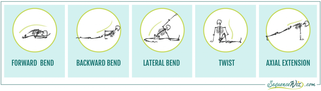 Directions Of Spinal Movement