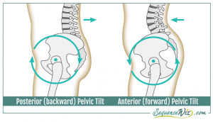 Pelvic Tilt