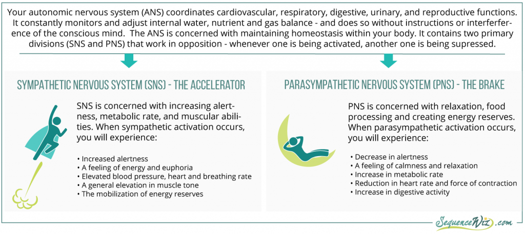 SNS_PNS