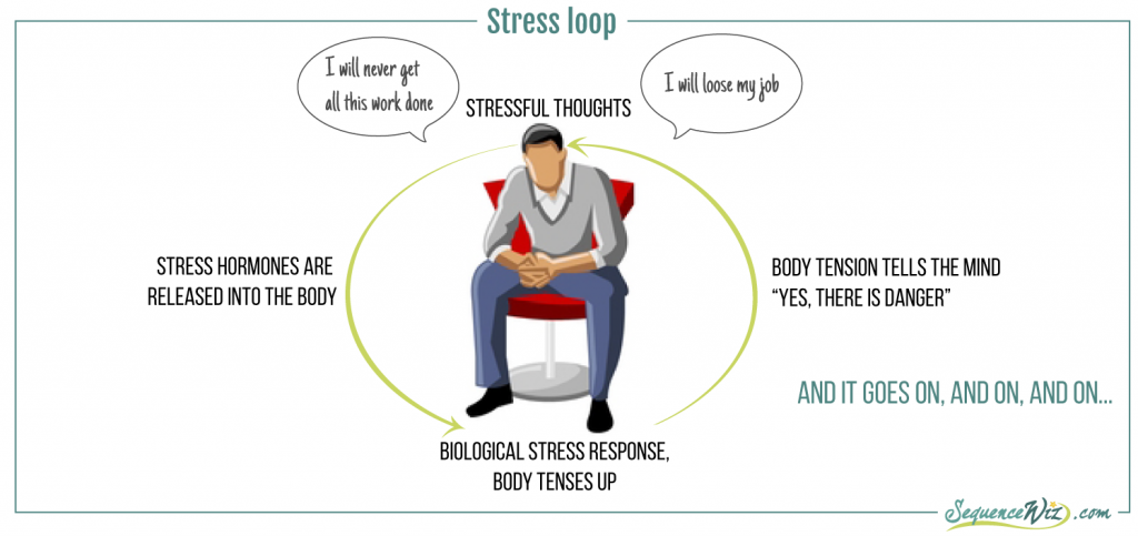 StressLoop