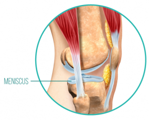 meniscus