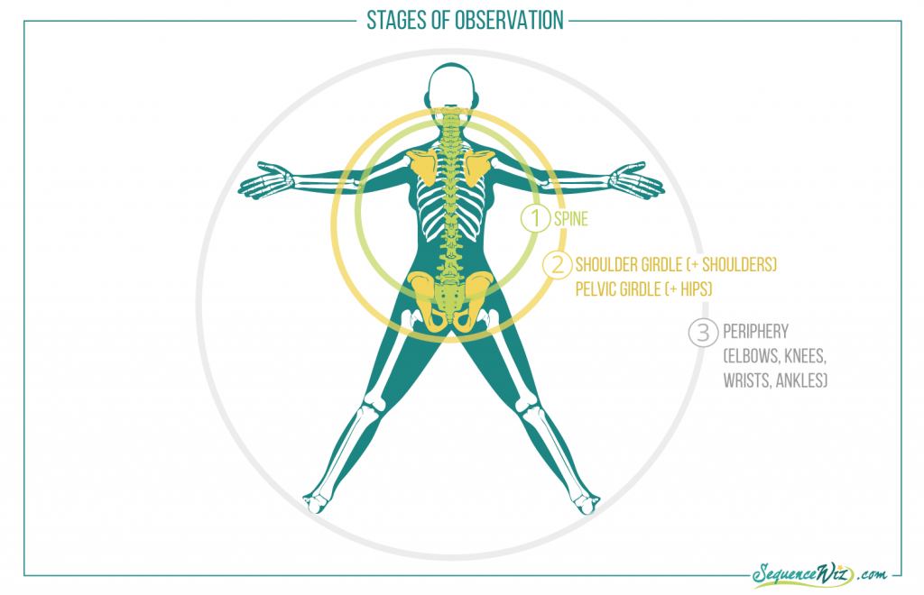 Stages of observation