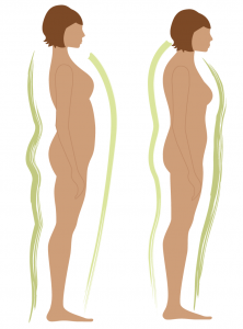 Stages of observation_fascia