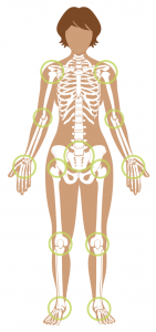 Stages of observation_joints