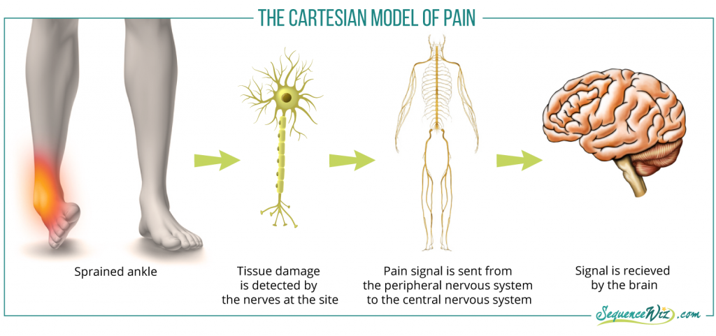 Models of Pain1a