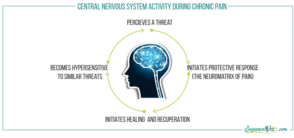 Chronic pain cycle