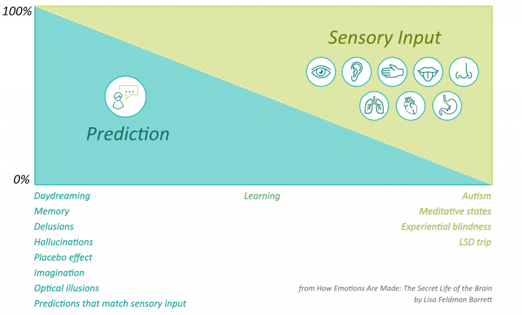 preconceived notions and sensory input